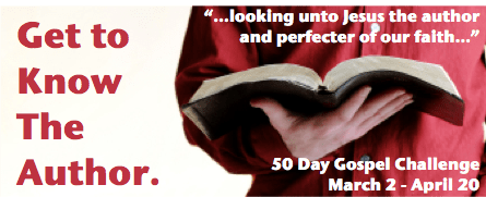 50 Day Challenge, Art 1