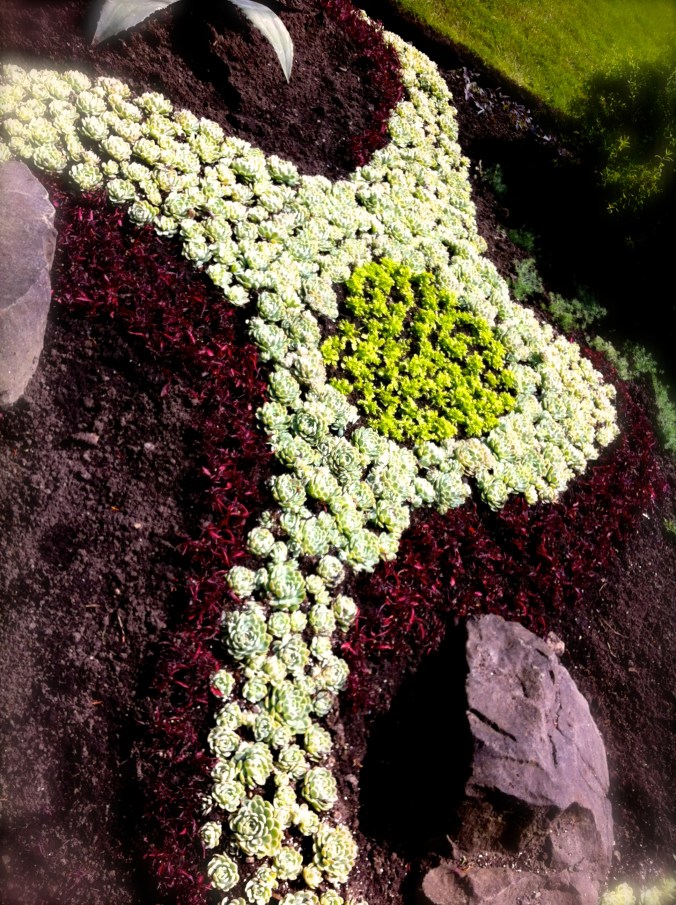 IMG_8067 - Version 2