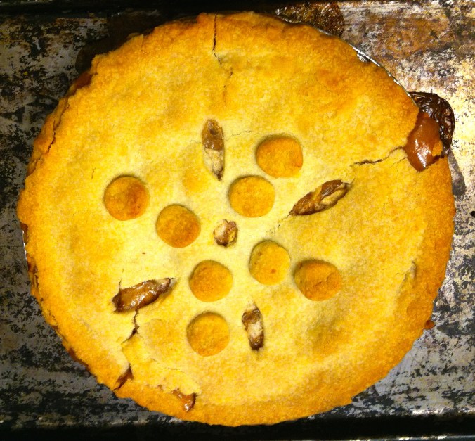 IMG_7686 - Version 2