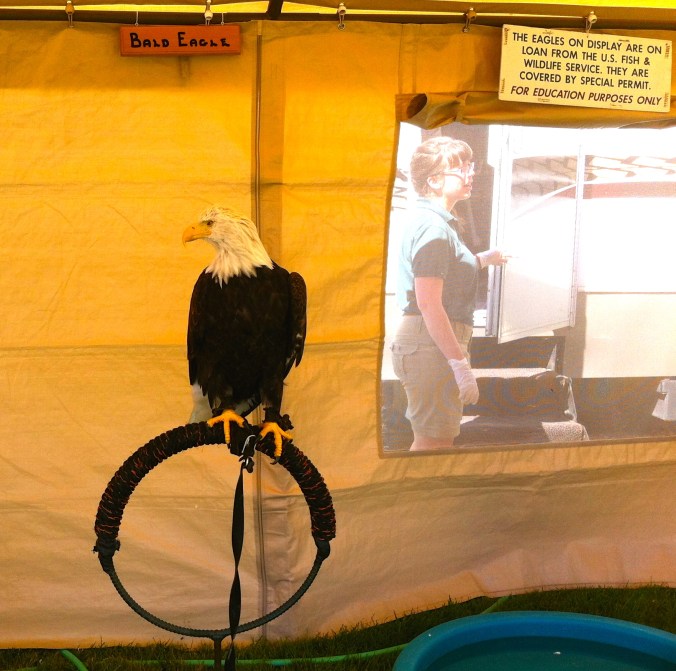 IMG_4963 - Version 2