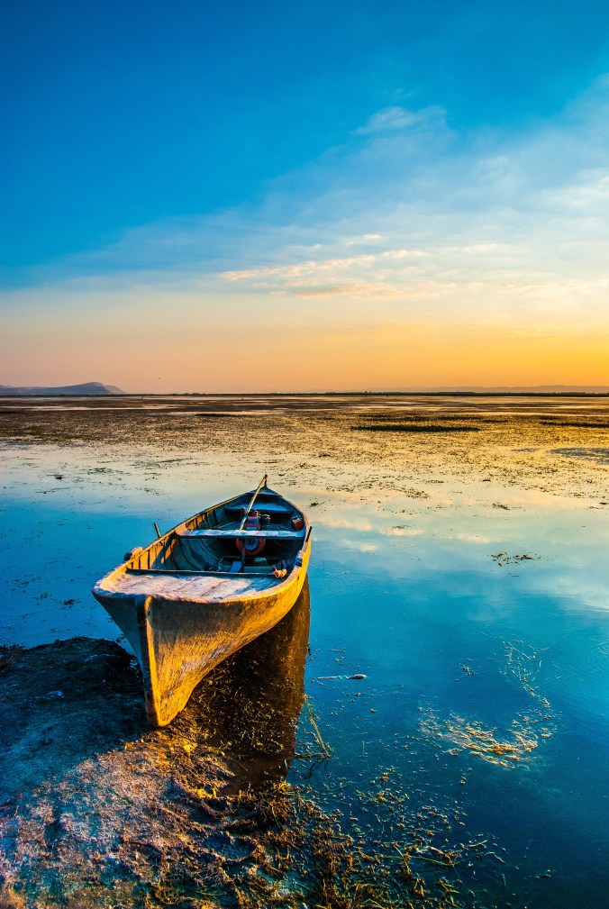 stocksnap_5nmf3nxuvj